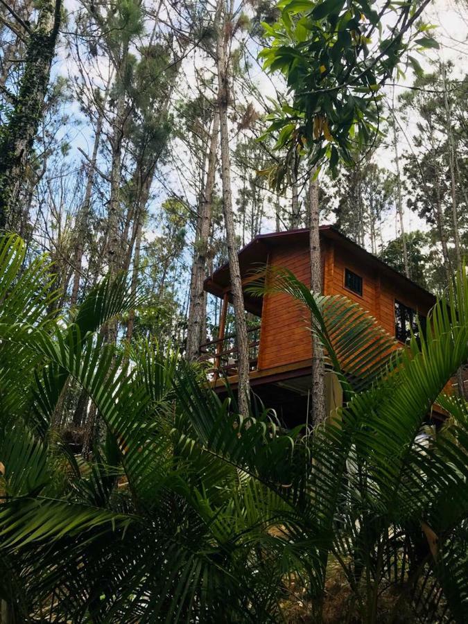 Casa De Arbol, Rancho Tierra Alta Hotell Jarabacoa Exteriör bild