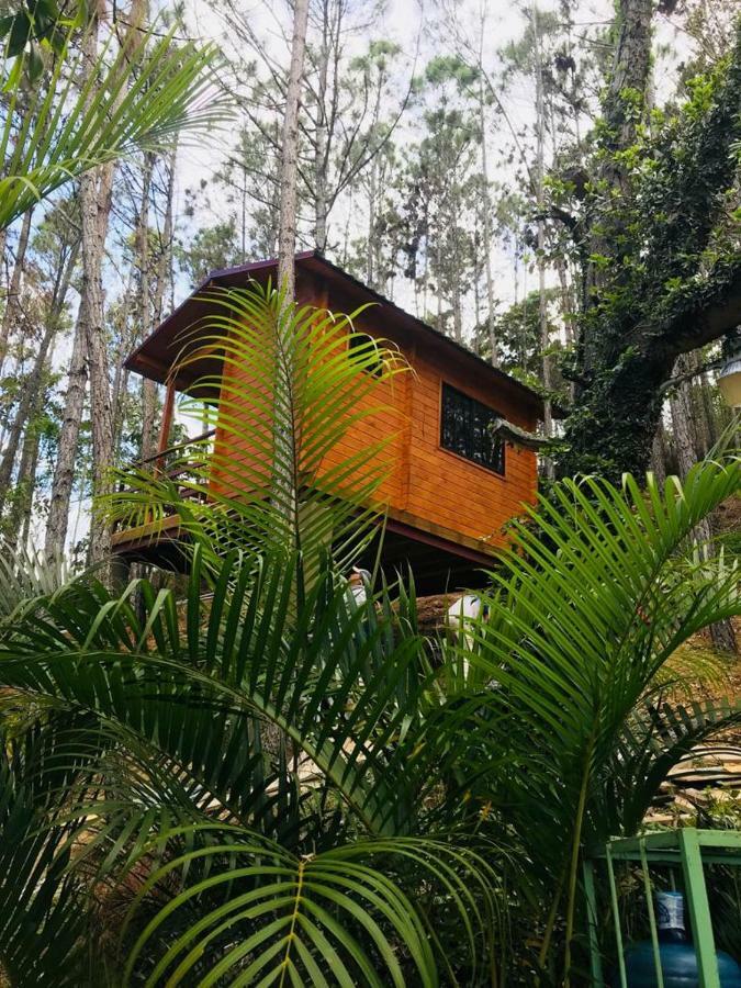 Casa De Arbol, Rancho Tierra Alta Hotell Jarabacoa Exteriör bild